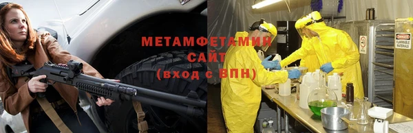 шишки Беломорск
