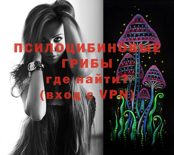 скорость Белокуриха