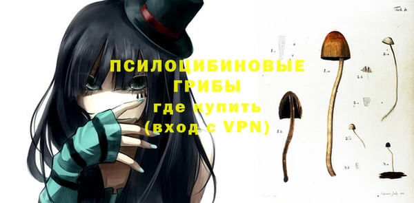 скорость Белокуриха
