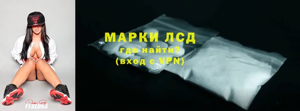 шишки Беломорск