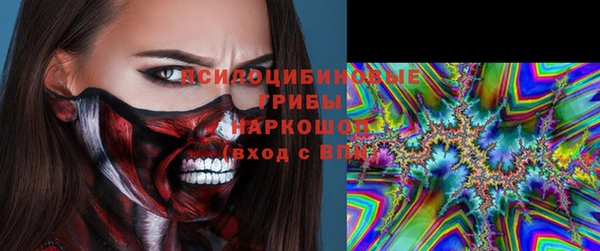 шишки Беломорск