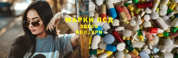 шишки Беломорск