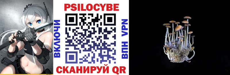 Купить где  Красноармейск  Галлюциногенные грибы Cubensis 